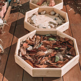 Explore Nook // Tuff Timber Tray
